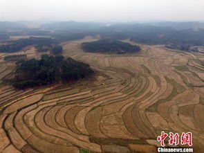 環保部原則通過農用地土壤環境管理辦法草案，推動環境治理新階段